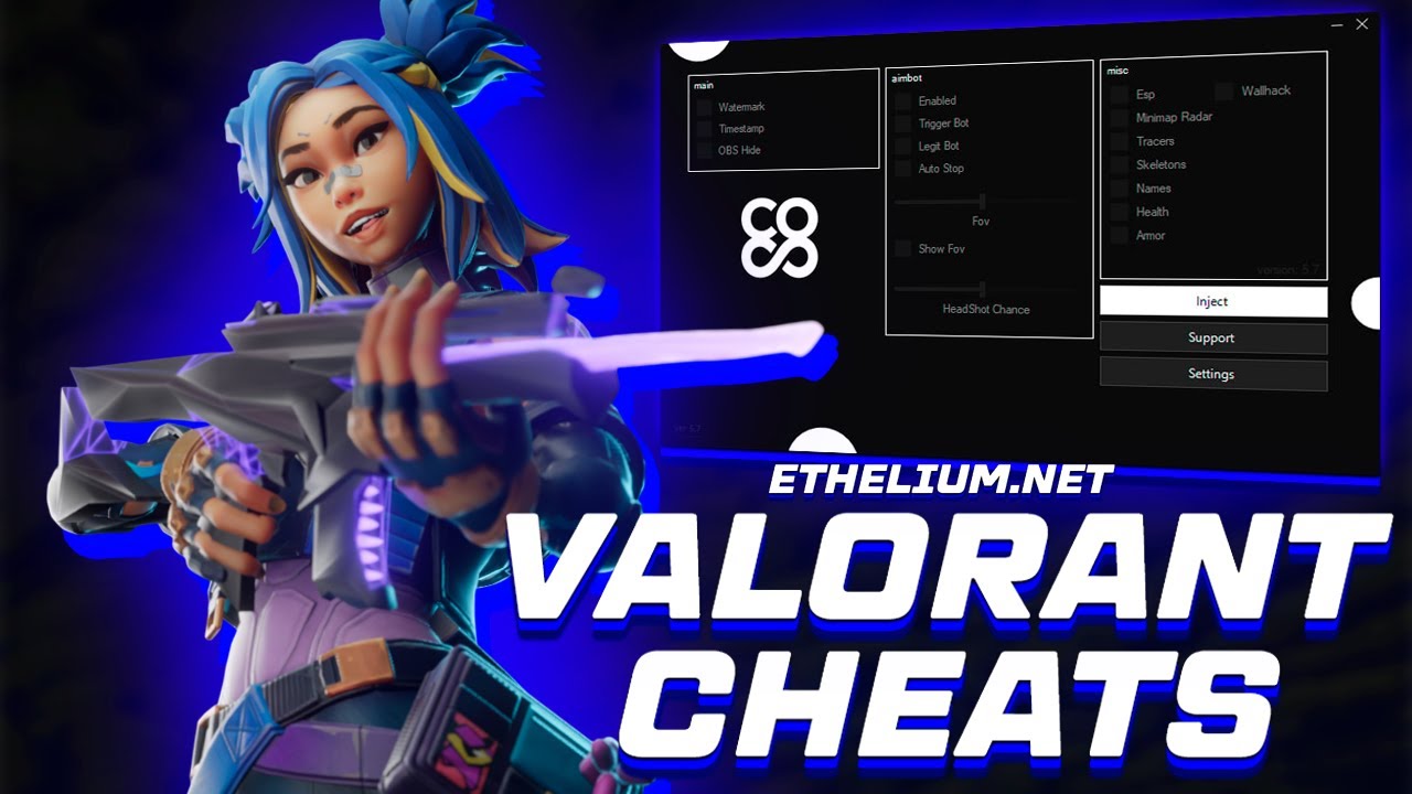 VALORANT Skin Changer Image